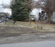 Thanksgiving 2008 283